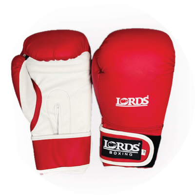Sparring Gloves